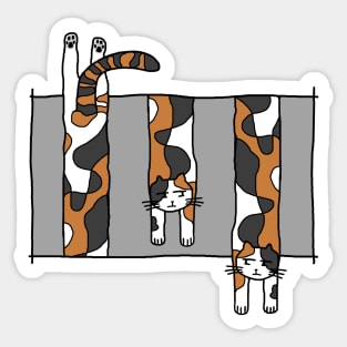 Dangling Calico Cat Sticker